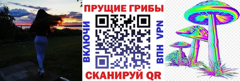 Псилоцибиновые грибы мицелий  Купить где  Выборг 